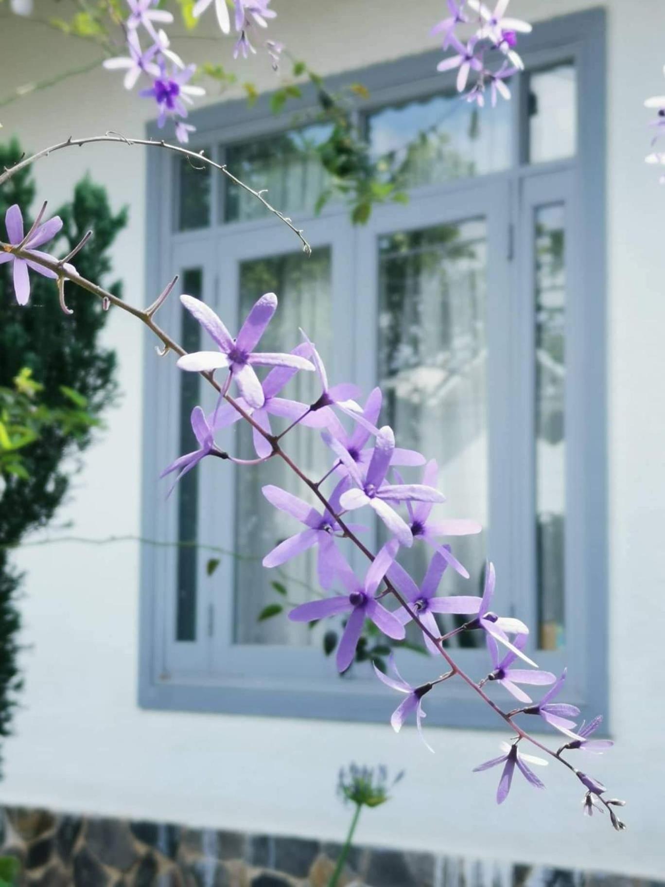 Tia Du Homestay Dalat Bagian luar foto